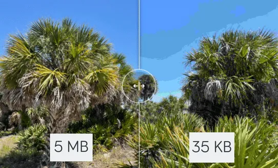 An image comparing a blurry and distorted photo to a clear one.
