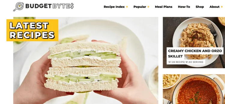 Budget Bytes is one of the best recipe sites.