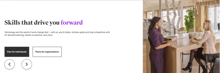 Udemy Banner