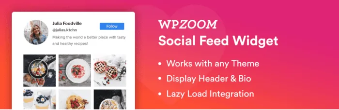 WPZoom Social Feed Widget banner