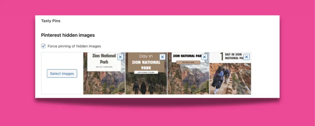 Tasty Pins settings showing multiple hidden Pinterest images selected with Force Pin enabled.