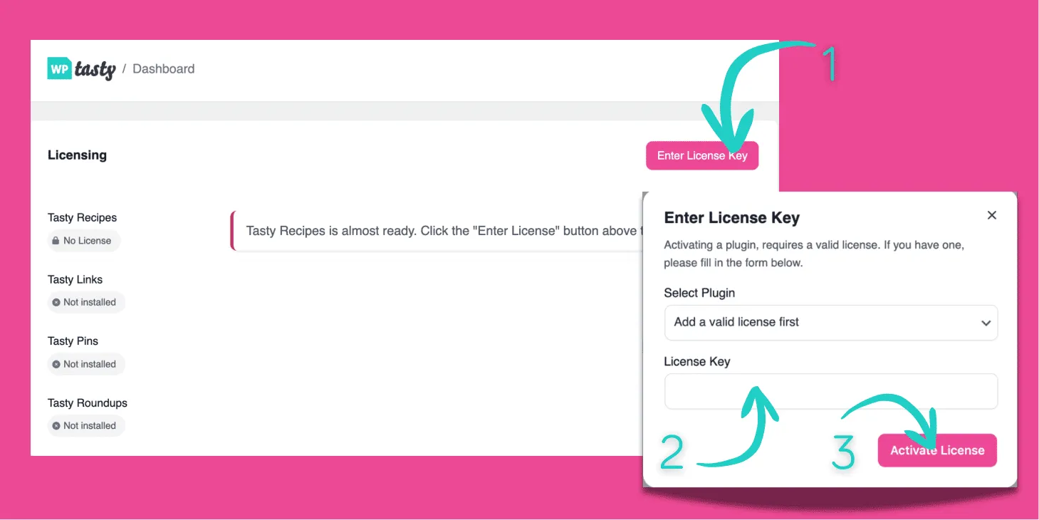An image showing the WP Tasty Activate plugin settings in the WP Tasty dashboard