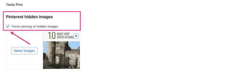 Pinterest screen with a Tasty Pins box checked that says 'Force pinning of hidden images.' An arrow points to a small picture titled '10 Must Visit Spots in Dublin.