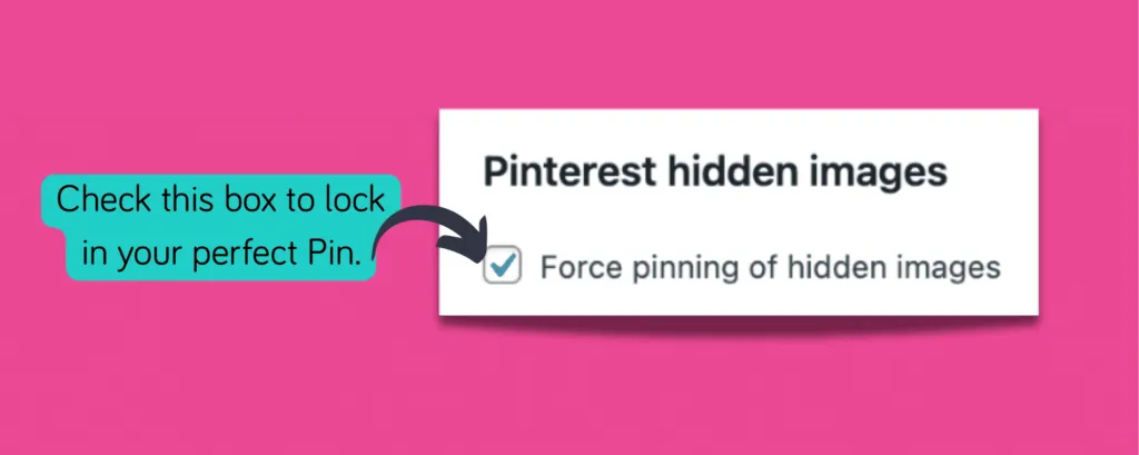 Force pinning option enabled in Tasty Pins to make Pinterest use your chosen hidden image.