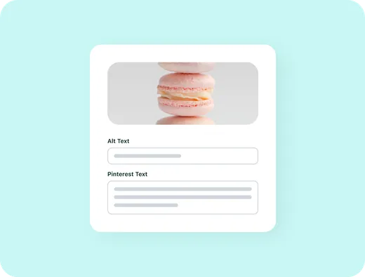 Macaron photo with separate Alt Text and Pinterest Text input fields
