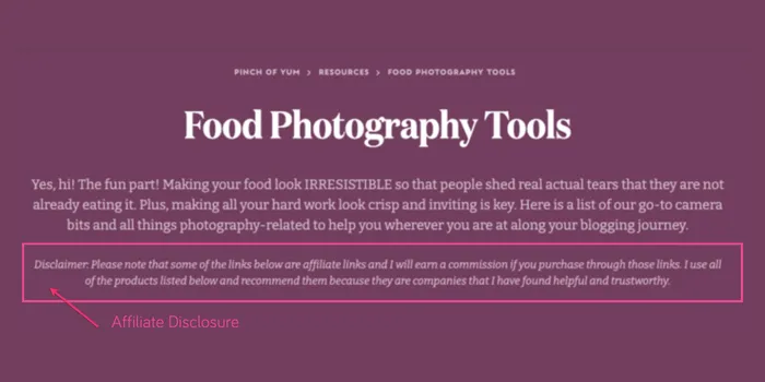 A screenshot of Pinch of Yum's article on the "Food Photography Tools" they use. There's a pink box highlighting the affiliate disclosure present because the article contains affiliate links