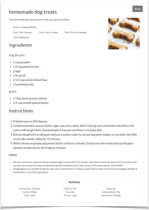 Tasty Recipes Simple Recipe Card Example