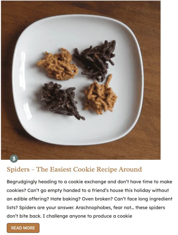 Caroline @ Whipped the Blog's Spider cookie recipe in a Tasty Roundup