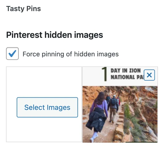 hide pinterest images with Tasty Pins featured image