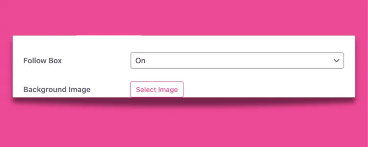 Tasty Pins settings showing how to toggle the Pinterest follow box on or off with a simple dropdown.