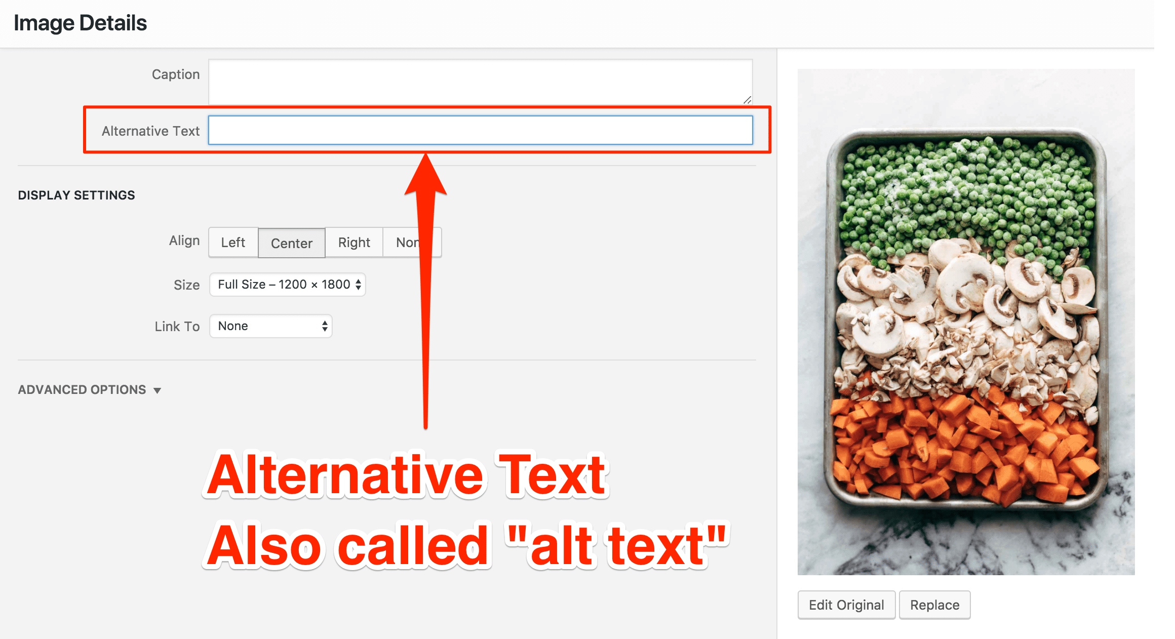 Screenshot of the Alternative Text field in the Image Details window on WordPress