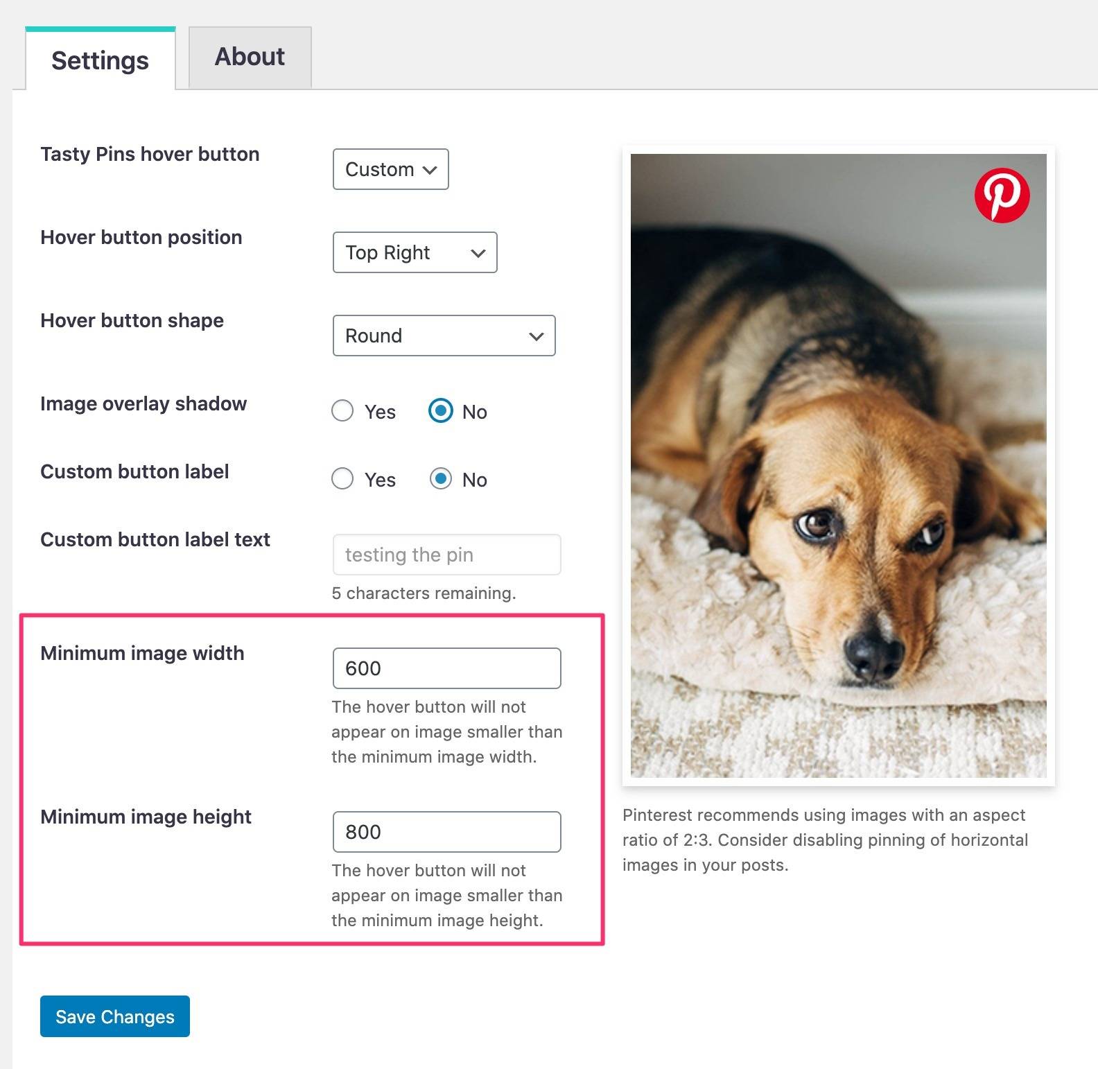 Image minimum width for pin settings